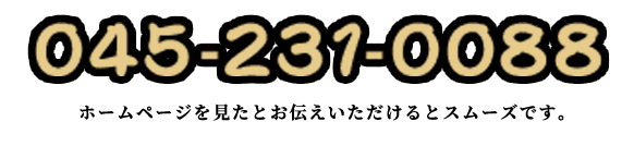 045-231-0088