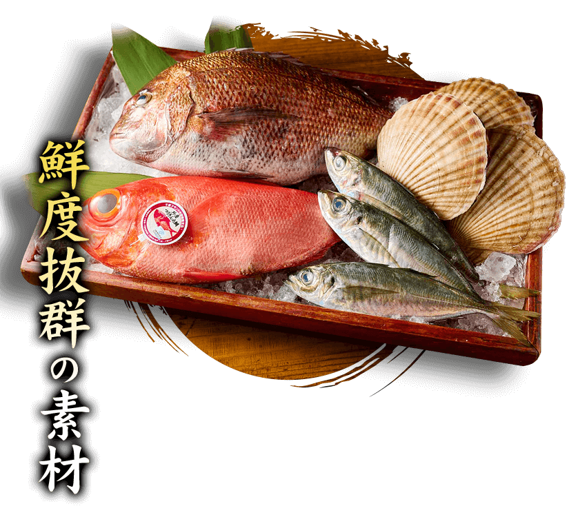 鮮度抜群の素材